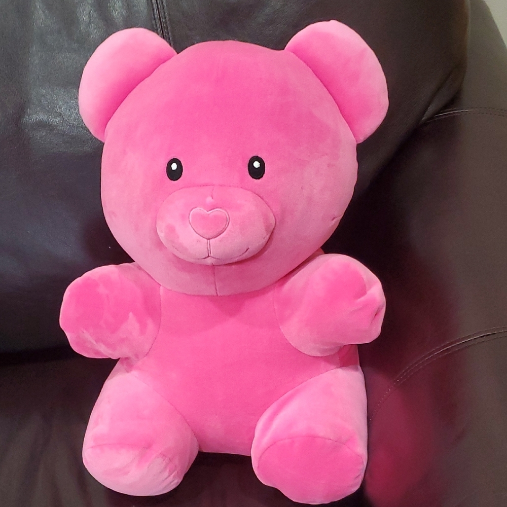 Bright Pink Stuffed Animal Teddy Bear